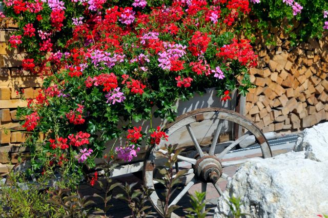 Image: atmosphere and comfort